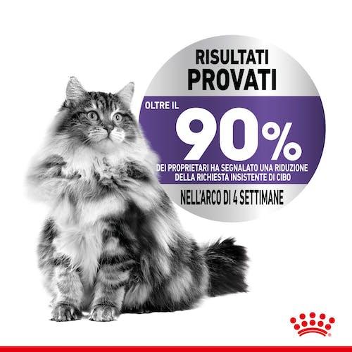 Royal Canin Gatto Appetite Control Busta In Gelatina 85 Gr