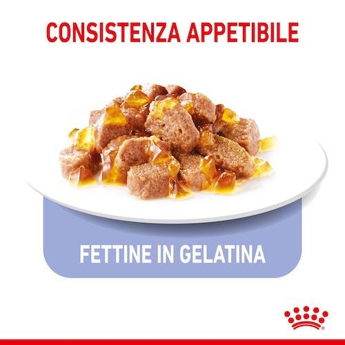 Royal Canin Gatto Appetite Control Busta In Gelatina 85 Gr
