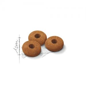 Royal Canin Gatto Appetite Control 400 Gr 2