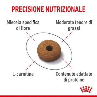 Royal Canin Gatto Appetite Control