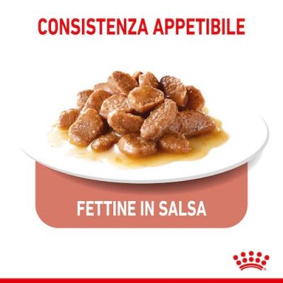 Royal Canin Gatto Appetite Control Busta In Salsa 85 Gr