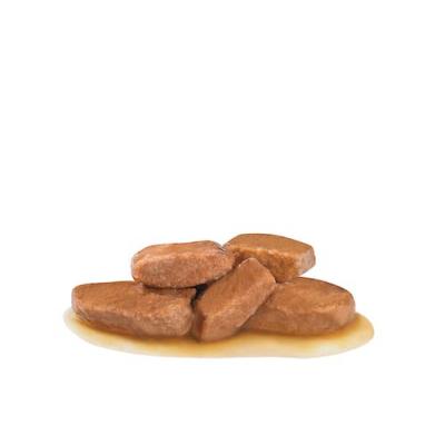 Royal Canin Gatto Diabetic Busta 12 x 85 Gr
