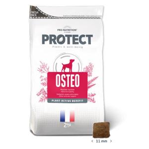 Flatazor Protect Cane Osteo