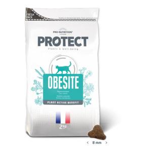 Flatazor Protect Gatto Obesite 2 Kg