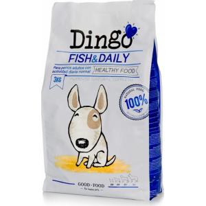 Dingo Cane Pesce & Daily