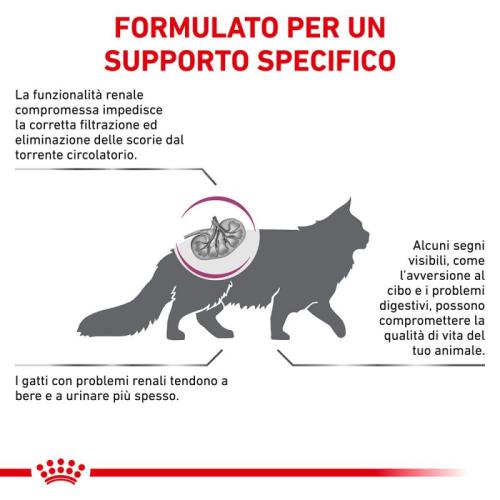 Royal Canin Gatto Renal Special