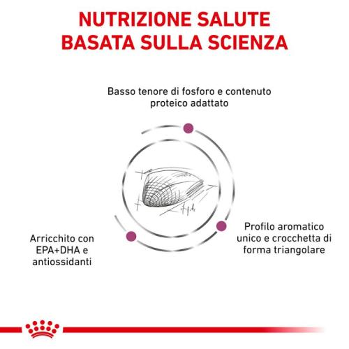 Royal Canin Gatto Renal Special