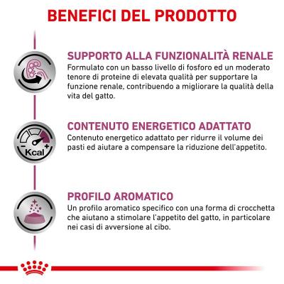 Royal Canin Gatto Renal Special