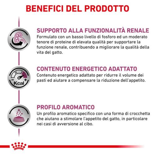 Royal Canin Gatto Renal Special