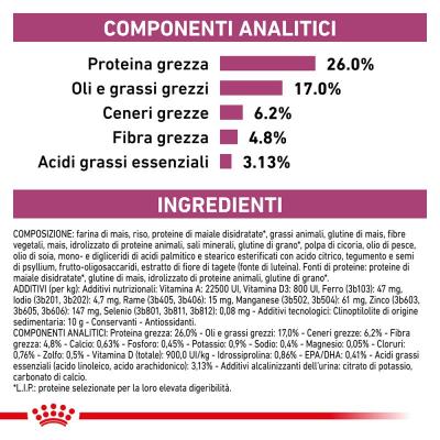 Royal Canin Gatto Renal Special