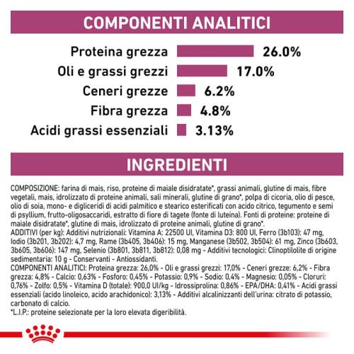 Royal Canin Gatto Renal Special