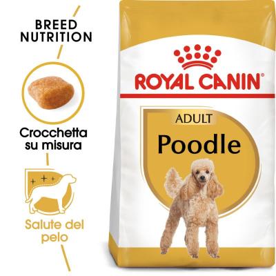Royal Canin Cane Barboncino Poodle Adult 1.5 Kg