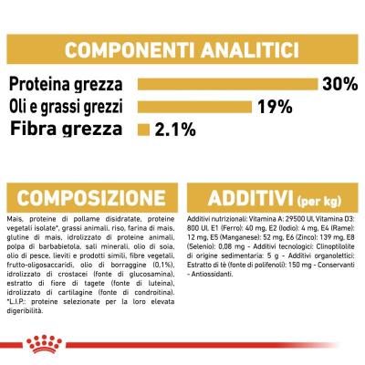 Royal Canin Cane Barboncino Poodle Adult 1.5 Kg