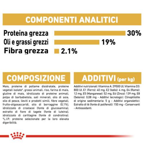 Royal Canin Cane Barboncino Poodle Adult 1.5 Kg