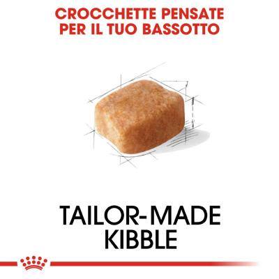 Royal Canin Cane Bassotto Dachshund Adulto