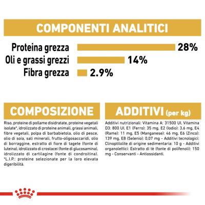 Royal Canin Cane Bassotto Dachshund Adulto