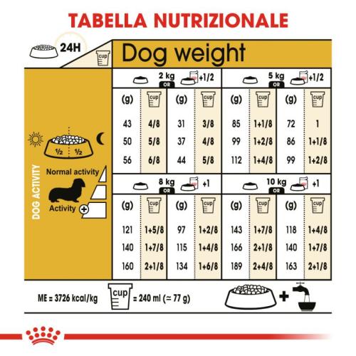 Royal Canin Cane Bassotto Dachshund Adulto