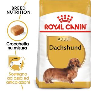 Royal Canin Cane Bassotto Dachshund Adulto 2