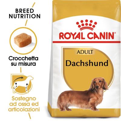 Royal Canin Cane Bassotto Dachshund Adulto