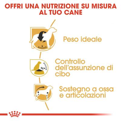 Royal Canin Cane Beagle Adulto