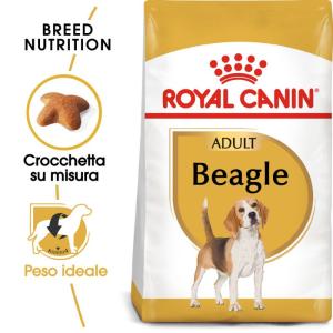 Royal Canin Cane Beagle Adulto 2
