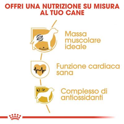 Royal Canin Cane Boxer Adulto