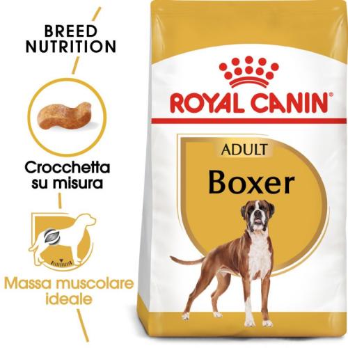 Royal Canin Cane Boxer Adulto