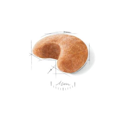 Royal Canin Cane Bulldog Francese Adulto