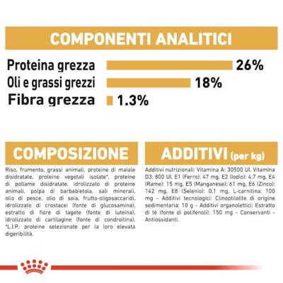 Royal Canin Cane Bulldog Francese Adulto
