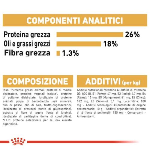 Royal Canin Cane Bulldog Francese Adulto