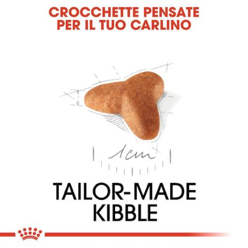 Royal Canin Cane Carlino Puppy