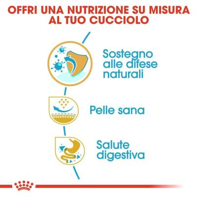 Royal Canin Cane Carlino Puppy