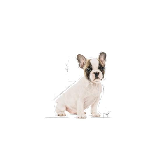Royal Canin Cane Bulldog Francese Puppy