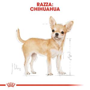 Royal Canin Cane Chihuahua Adulto 85 Gr 2