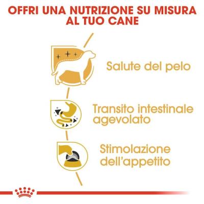 Royal Canin Cane Chihuahua Adulto 85 Gr
