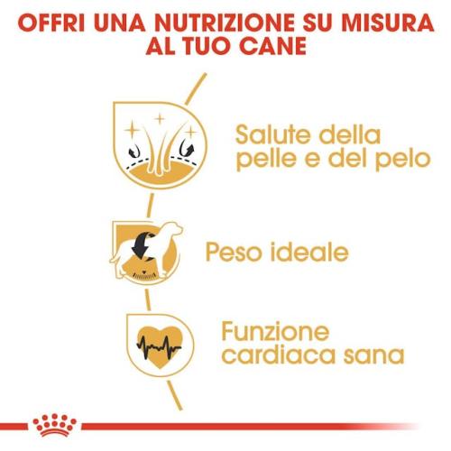 Royal Canin Cane Cocker Adulto