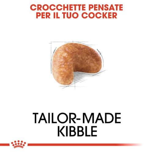 Royal Canin Cane Cocker Adulto