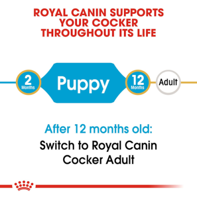 Royal Canin Cane Cocker Puppy 3 Kg