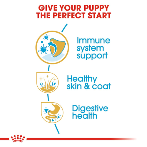 Royal Canin Cane Cocker Puppy 3 Kg