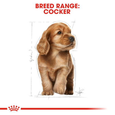 Royal Canin Cane Cocker Puppy 3 Kg