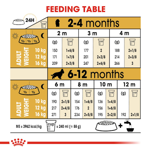 Royal Canin Cane Cocker Puppy 3 Kg