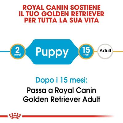 Royal Canin Cane Golden Retriever Puppy