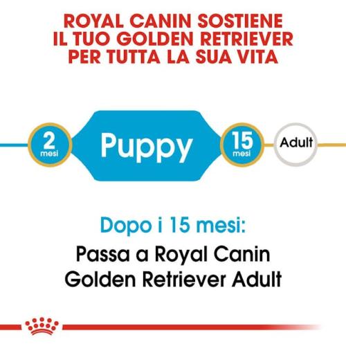 Royal Canin Cane Golden Retriever Puppy