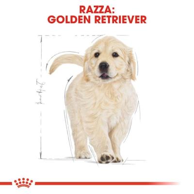 Royal Canin Cane Golden Retriever Puppy