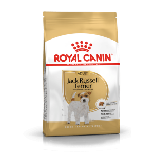 Royal Canin Jack Russel Adulto