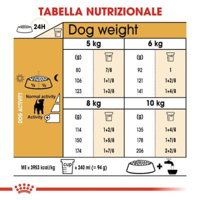 Royal Canin Jack Russel Adulto