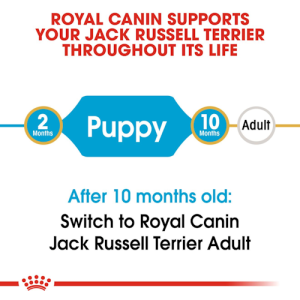 Royal Canin Jack Russel Puppy 1,5 Kg 2