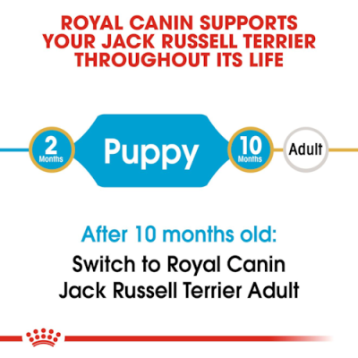 Royal Canin Jack Russel Puppy 1,5 Kg