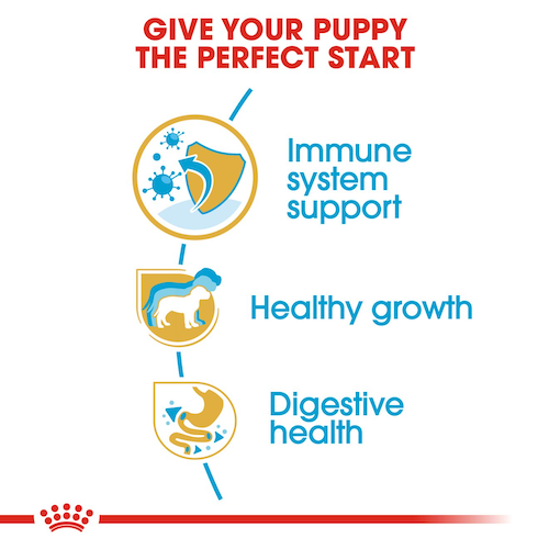 Royal Canin Jack Russel Puppy 1,5 Kg