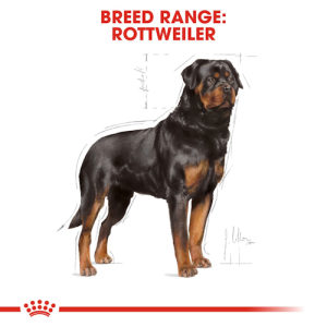 Royal Canin Cane Rottweiler Adulto 12 Kg 2